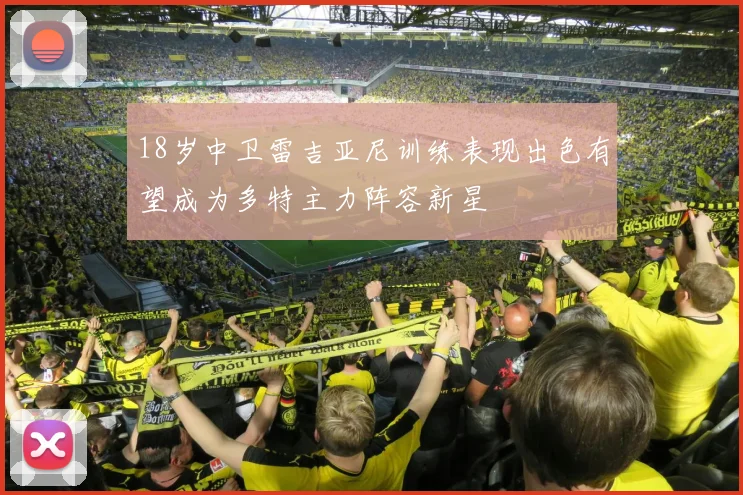 18岁中卫雷吉亚尼训练表现出色有望成为多特主力阵容新星