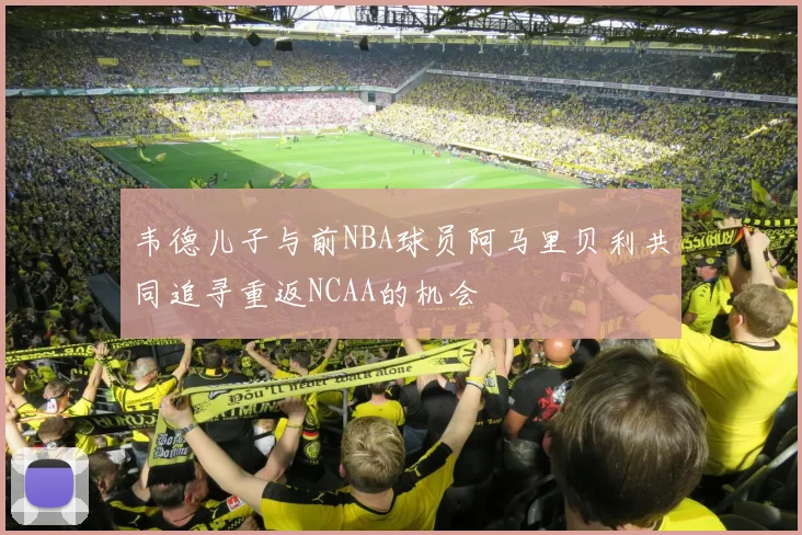 韦德儿子与前NBA球员阿马里贝利共同追寻重返NCAA的机会