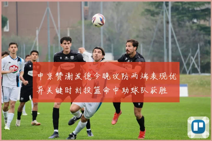 申京赞谢泼德今晚攻防两端表现优异关键时刻投篮命中助球队获胜